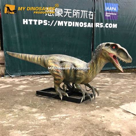 Robotic Dinosaur Exhibit Life Size Velociraptor For Sale