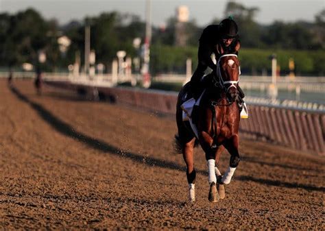 Belmont Stakes 2017 Who We Think Will Win Place And Show The New