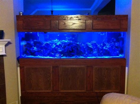Sold 210 Gallon Complete Reef Set Up Complete Systems Austin Reef Club