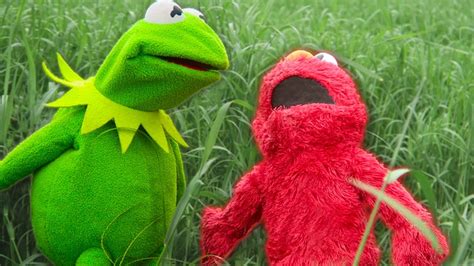 Kermit The Frog And Elmos Backyard Challenge Youtube