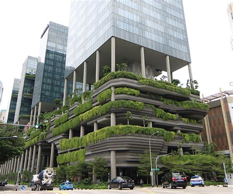 Vertical Farming Offers Solutions To Food Scarcity In