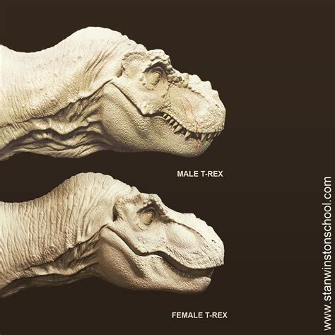 Did T Rex Had Feathers And Also Did It Have Lips Rpaleontology