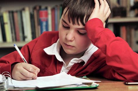 Boy Doing Homework Photograph By Mauro Fermarielloscience Photo