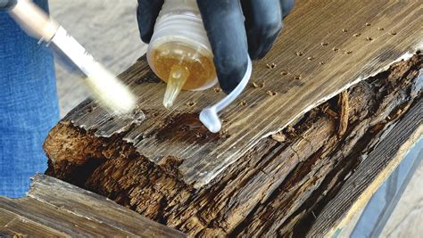 Wood Rot How To Identify And Repair The Money Pit