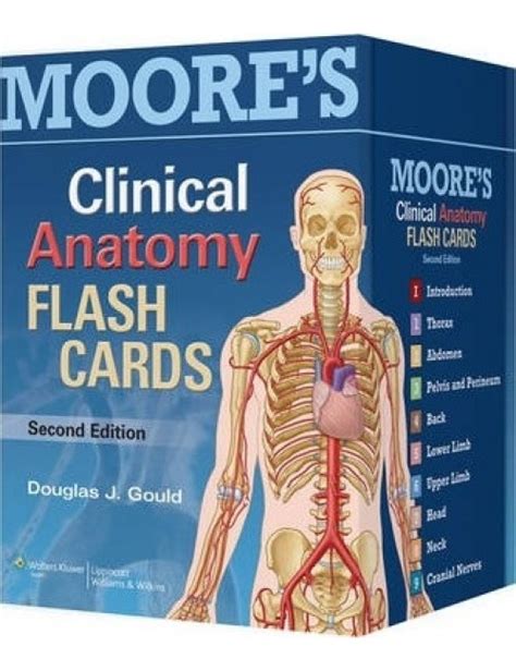 Lippincott Williams And Wilkins Usa Moores Clinical Anatomy Flash Cards