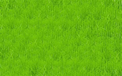 Grass Lawn Field Free Image On Pixabay