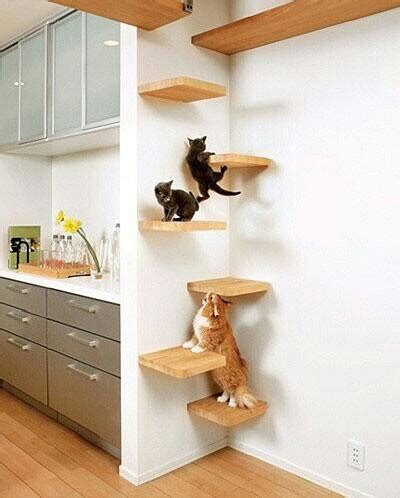 Previous pricec $107.13 10% off. Wall climbing for cats | Cat ladder, Cat shelves, Cat perch