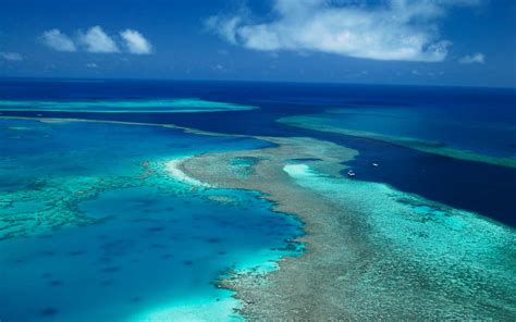 Great Barrier Reef Australia Booktoday Travel News