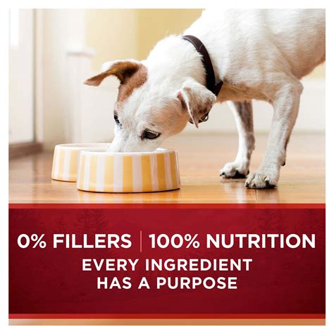 Purina One Natural High Protein Gravy Wet Dog Food Smartblend True