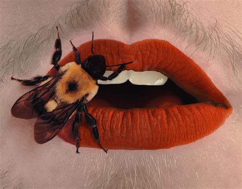 Irving Penns Bee Stung Lips Photo Recreation On Behance