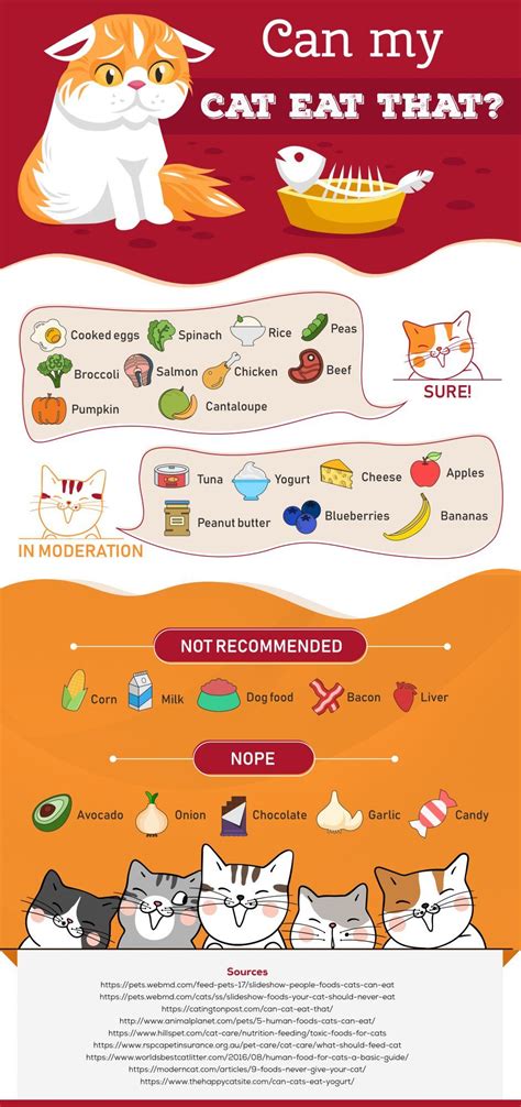 Cats can eat vegetables sparingly as an occasional treat and not a meal replacement. 27 Human Foods Your Cat Can & Can't Eat | Foods cats can ...