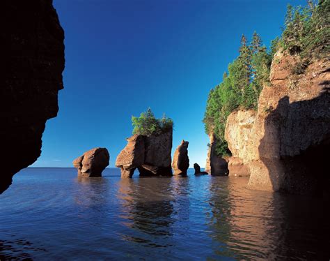 Bay Of Fundy Map Images And Tips Seeker