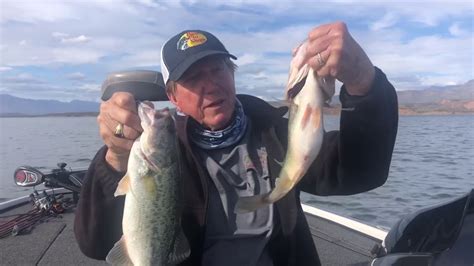 Roosevelt Lake Fishing Report Fish Are Spawning February 10 2020