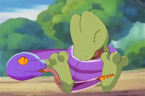 Treecko Tickled By Ekans  By Seviperman13 On Deviantart