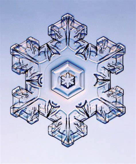 Snowflakes Real Crystal Snowflakes Snowflake Images Snowflake