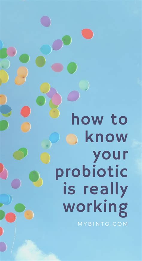 How Do I Know My Probiotic Is Working Binto Nutrition Consultant