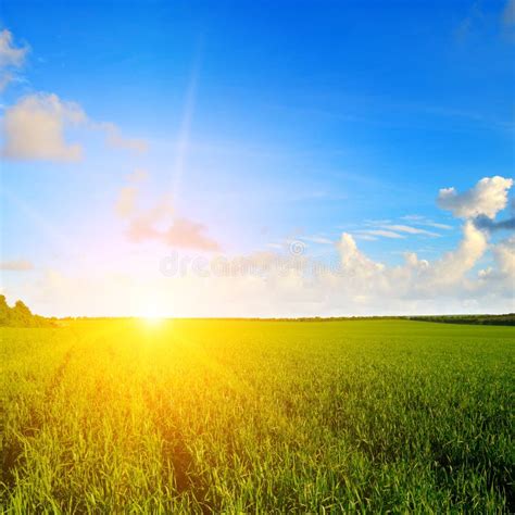 Green Field Sunrise And Blue Sky Stock Image Image Of Landscape