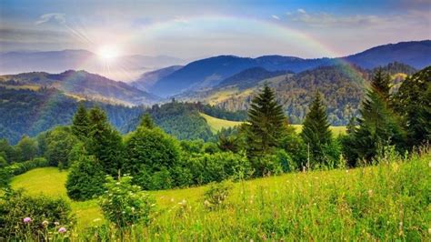 Rainbow Over The Mountains Hd Wallpaper Wallpaperfx Forest Pictures