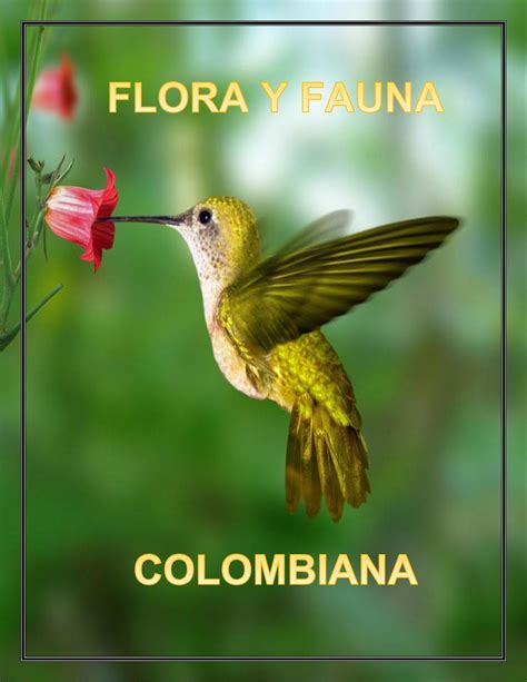 Calaméo Flora Y Fauna De Colombia