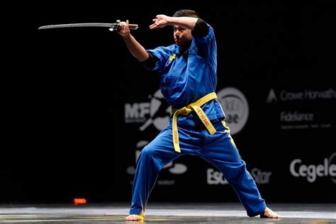 Vovinam Viet Vo Dao La Voie De Lart Martial Vietnamien Kombazen