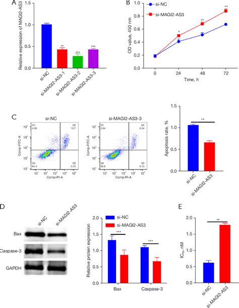 the knockdown of magi2 as3 inhibits drug resistance in acute myeloid leukemia by up regulating