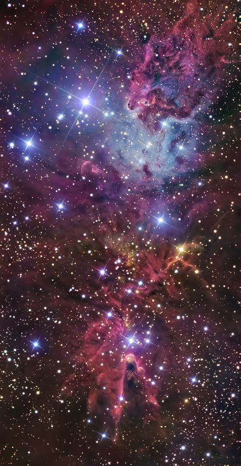 The Christmas Tree Cluster Fox Fur Nebula And Cone Nebula In Monoceros