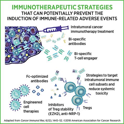 Side Effects Of Immunotherapies Types And Causes Aacr Blog