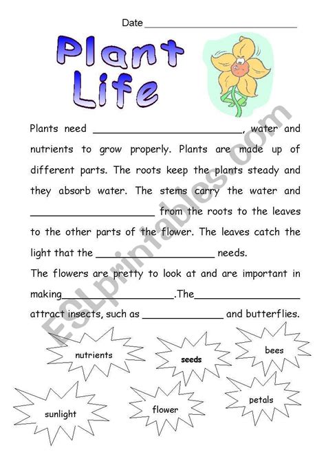 Plant Life Esl Worksheet By Elaineazz87
