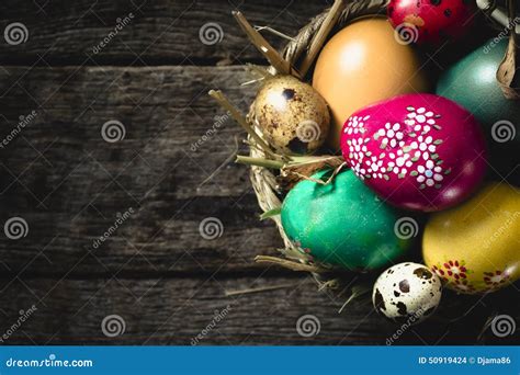Easter Eggs Concept Stock Photo Image Of Colorful Season 50919424
