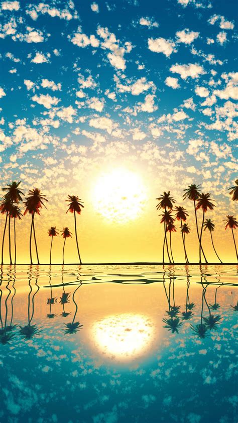 Sunset Palm Tree Cloud Sky Reflection Free 4k Ultra Hd Mobile Wallpaper
