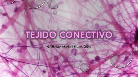 Tejido Conectivo Med Life Xxi Udocz