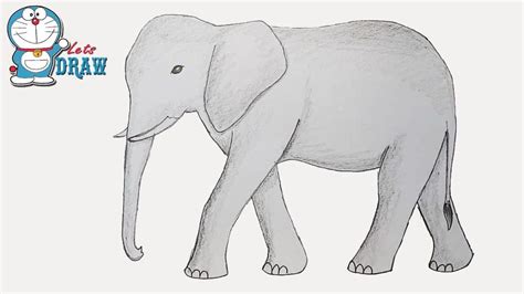 Follow me along to learn how to draw a baby elephant's face. How to draw elephant step by step - YouTube | Elephant ...