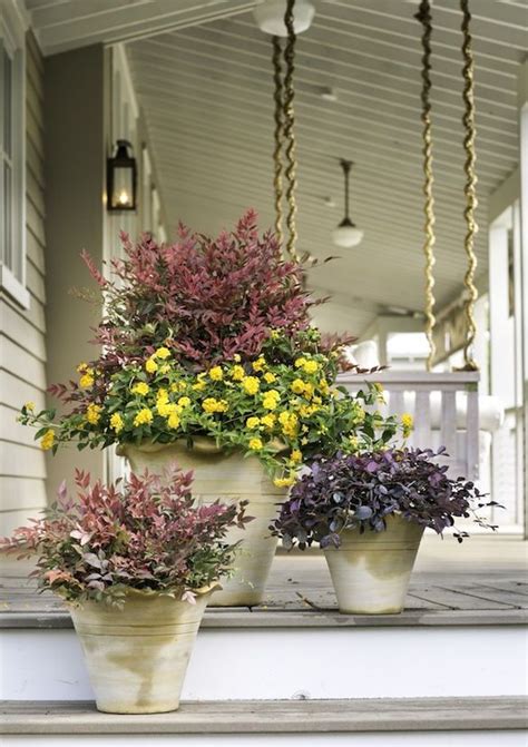Fall Container Garden Face Lift Recipes For Sun And Shade Fall
