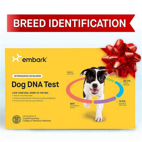 Dna test kits may be ordered through the akc online store, or by contacting the akc: Embark | Dog DNA Test | Breed Identification Kit ...