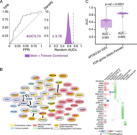 Machine Learning Program Reveals Genes Responsible For Sex Specific Differences In Alzheimers