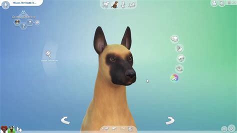 Sims 4 Cats And Dogs Making A Belgian Malinois Youtube