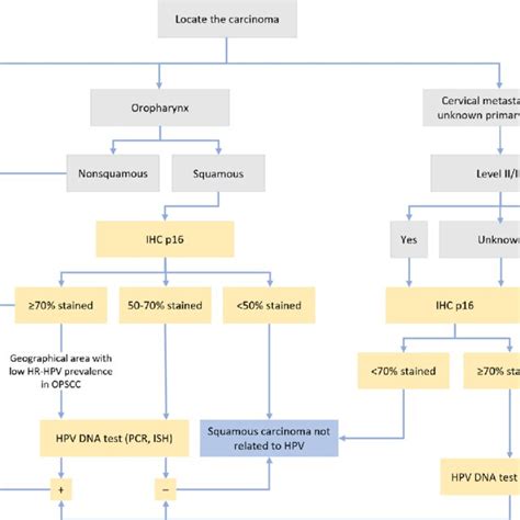 Algorithm Of The Diagnostic Procedure Of Head And Neck Tumours
