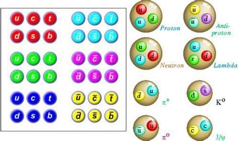 Quarks Y Tipos De Quarks Mind Map