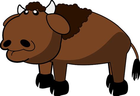 Bison Animal Buffalo · Free Vector Graphic On Pixabay