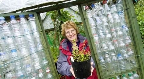 How To Build A Diy Greenhouse Using Plastic Bottles Dengarden