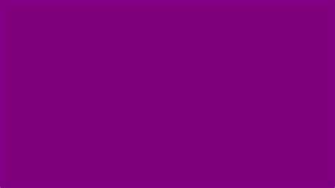 2560x1440 Purple Web Solid Color Background