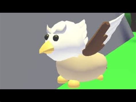 Hatching eggs is the basic way of getting pets. What people trade for a ride fly griffin || adopt me ...