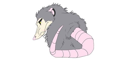 Opossum Animation By Skitzarama On Deviantart