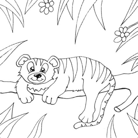 Coloring Pages Of Rainforest Animals Best Coloring Pages