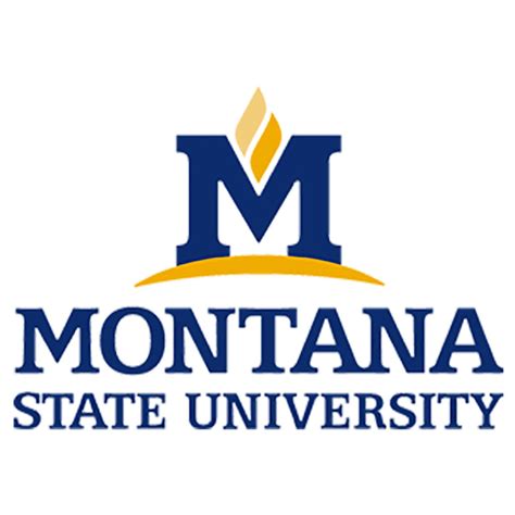 Montana State University Bozeman Stahly Engineering And Associates
