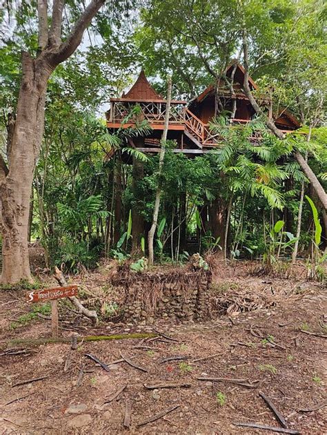 Pai Treehouse Guest House Reviews Thailand