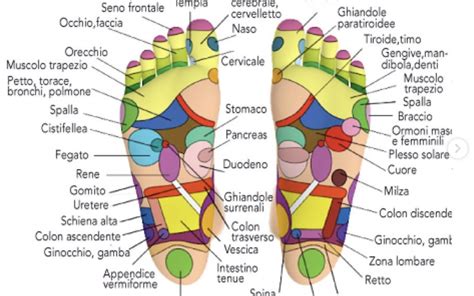 Riflessologia Plantare Raffaele Sulla