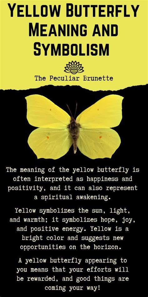 Yellow Butterfly Meaning And Symbolism Discover Their Beautiful And