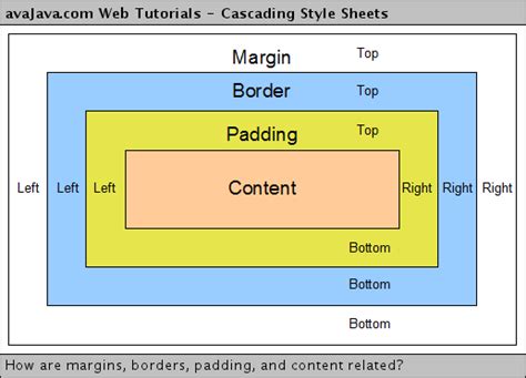 Espacement En Css Padding Cours Css Cascading Style Sheets