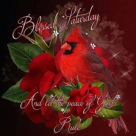 Nightbird (eva cassidy album), released in 2015. Good morning, wishing you all a blessed Saturday ! | Birds painting, Beautiful birds, Red birds